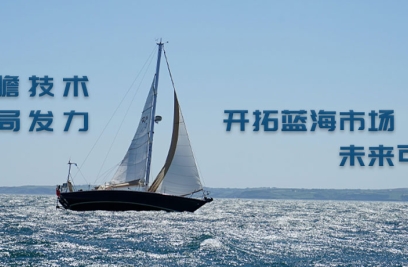 3377体育张燕生：前瞻技术布局发力，开拓蓝海市场可期